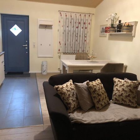 Ferienapartments Reitanlage Schenksolz Schenklengsfeld Εξωτερικό φωτογραφία